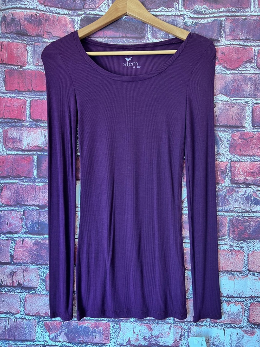 stem Long Sleeve Scoop Neck Top in Deep Purple